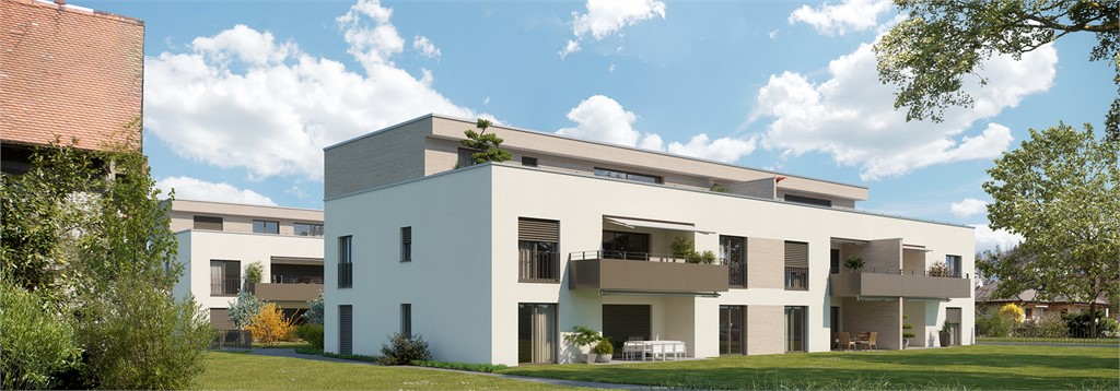 13 Einheiten am «Frohmattweg» in Schönenwerd zurzeit im Verkauf