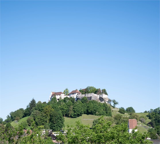 Schloss Lenzburg mobile